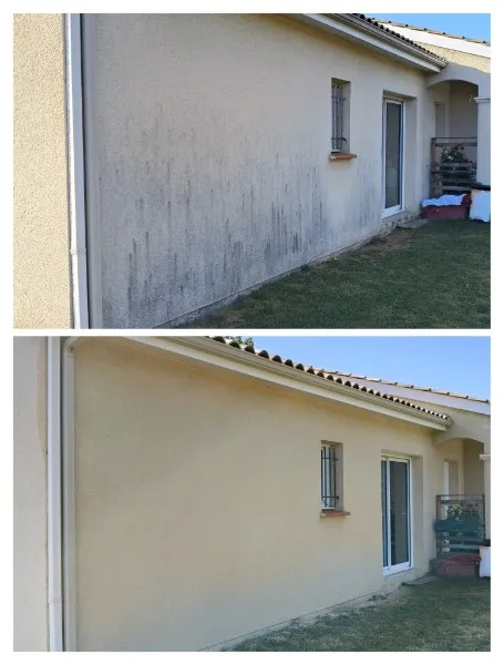 Corniche de toiture avant / après nettoyage de façade