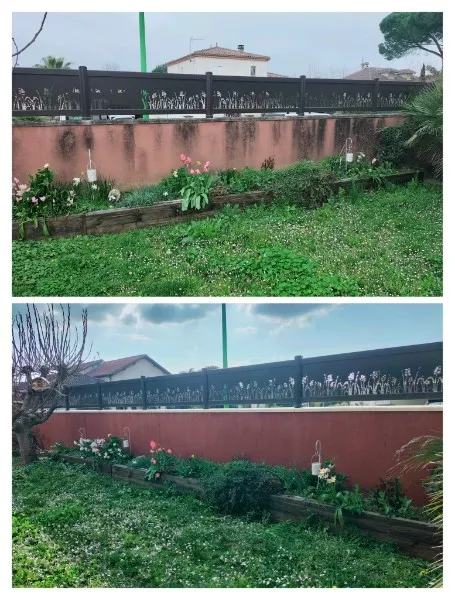 Muret de jardin avant / après nettoyage