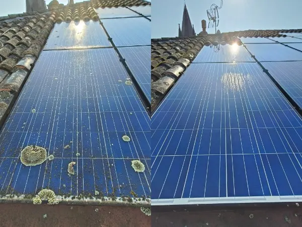 Panneau solaire couvert de lichen avant / après nettoyage