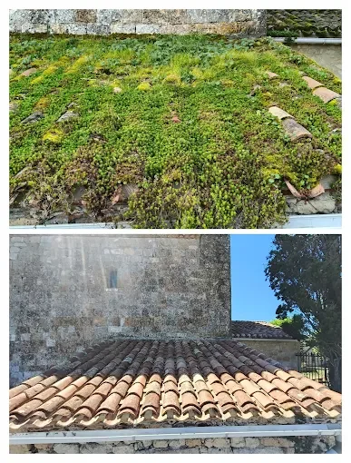 Démoussage de toiture ancienne en tuiles en Nouvelle-Aquitaine avant / après